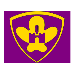 Pobarvana pobarvanka - Pobarvanka NK Maribor (grb)