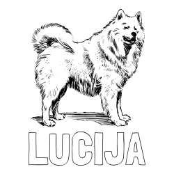 Online izdelana pobarvanka - Pobarvanka imena LUCIJA in pobarvanka čudovitega samojega
