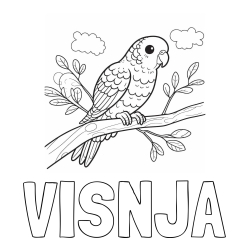 Online izdelana pobarvanka - Pobarvanka imena VIŠNJA in pobarvanka ljubkega kanarčka na veji