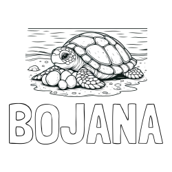 Online izdelana pobarvanka - Pobarvanka imena BOJANA in pobarvanka želve, ki leže jajca na obali