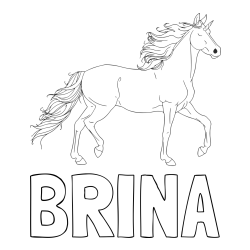 Online izdelana pobarvanka - Pobarvanka imena BRINA in samorog