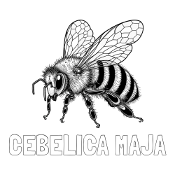 Online izdelana pobarvanka - Pobarvanka imena ČEBELICA MAJA in pobarvanka lepe in realistično oblikovane čebele
