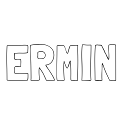 Online izdelana pobarvanka - Pobarvanka imena ERMIN