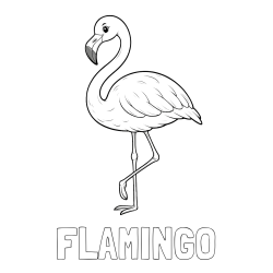 Online izdelana pobarvanka - Pobarvanka imena FLAMINGO in pobarvanka flaminga