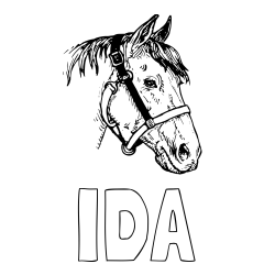 Online izdelana pobarvanka - Pobarvanka imena IDA in konjska glava