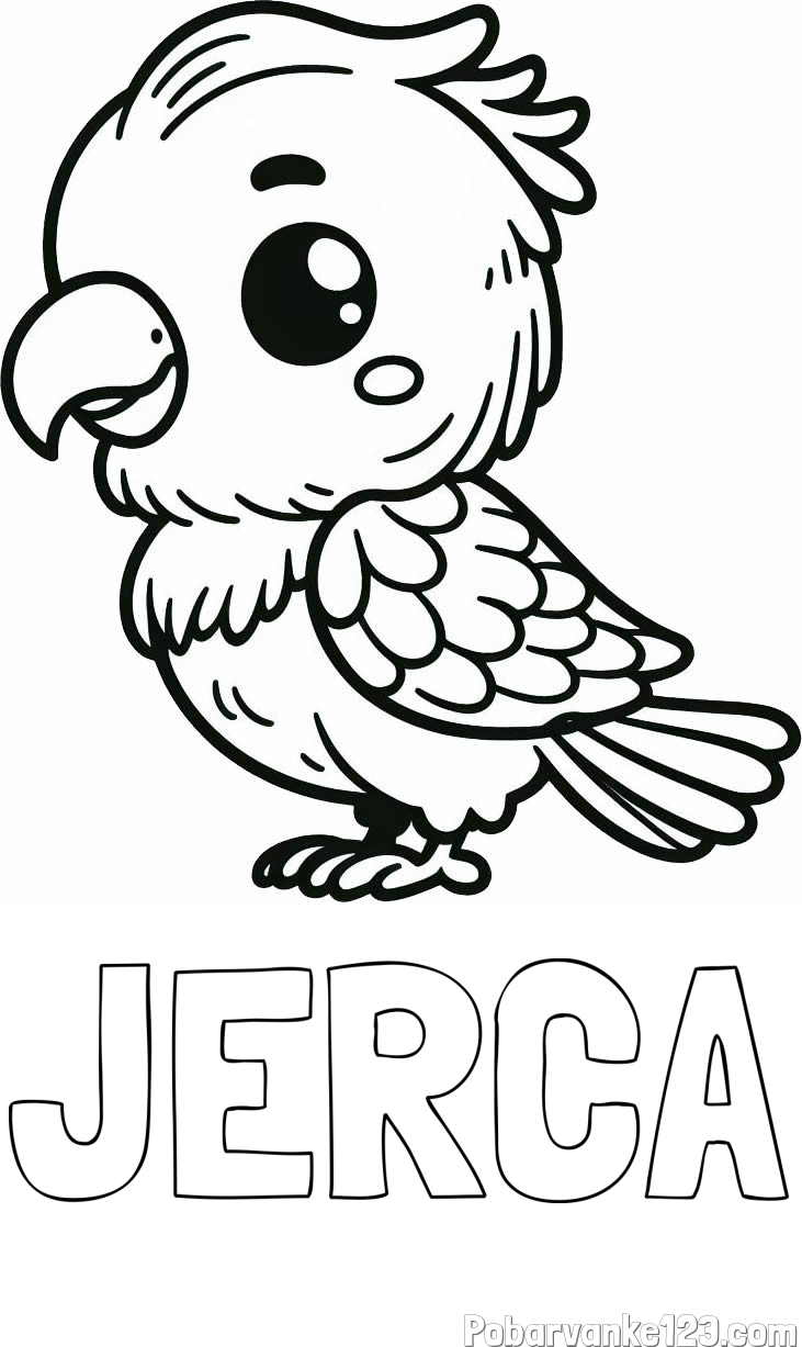 Pobarvanka imena JERCA in pobarvanka ljubkega papagaja