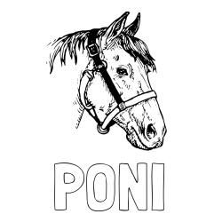 Online izdelana pobarvanka - Pobarvanka imena PONI in konjska glava