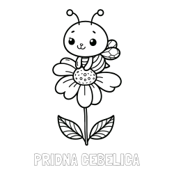 Online izdelana pobarvanka - Pobarvanka imena PRIDNA ČEBELICA in pobarvanka ljubke čebelice na roži