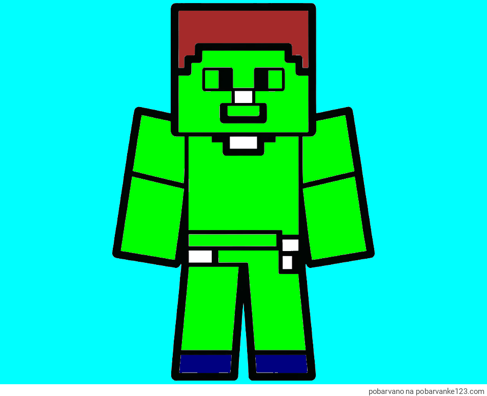 POBARVANA POBARVANKA - Pobarvanka Minecraft figurice