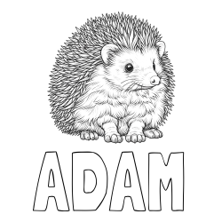 Online izdelana pobarvanka - Pobarvanka imena ADAM in pobarvanka nasmejanega ježa