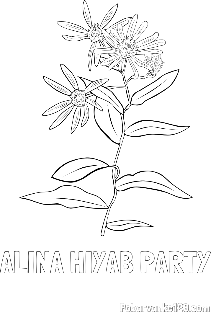 Pobarvanka imena ALINA HIYAB PARTY in pobarvanka cvetlice