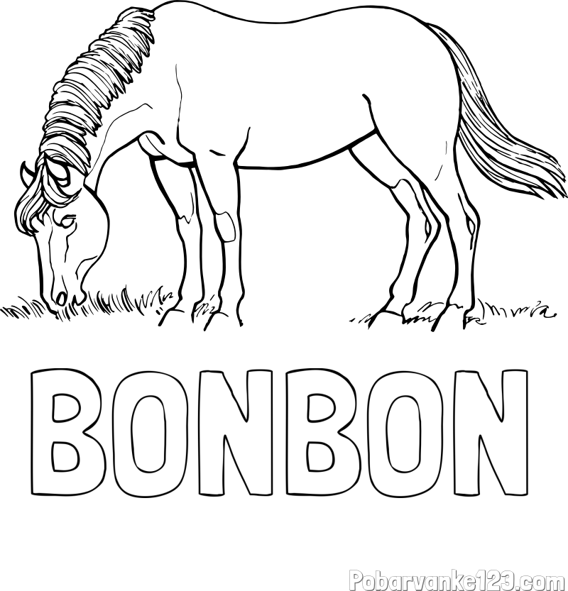 Pobarvanka imena BONBON in pobarvanka konja med pašo
