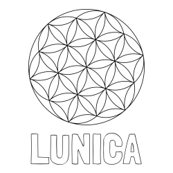Online izdelana pobarvanka - Pobarvanka imena LUNICA in mandale 2
