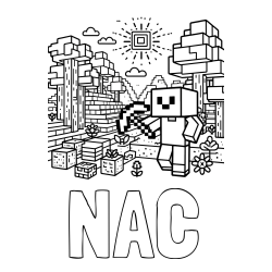 Online izdelana pobarvanka - Pobarvanka imena NAC in pobarvanka Minecraft sveta