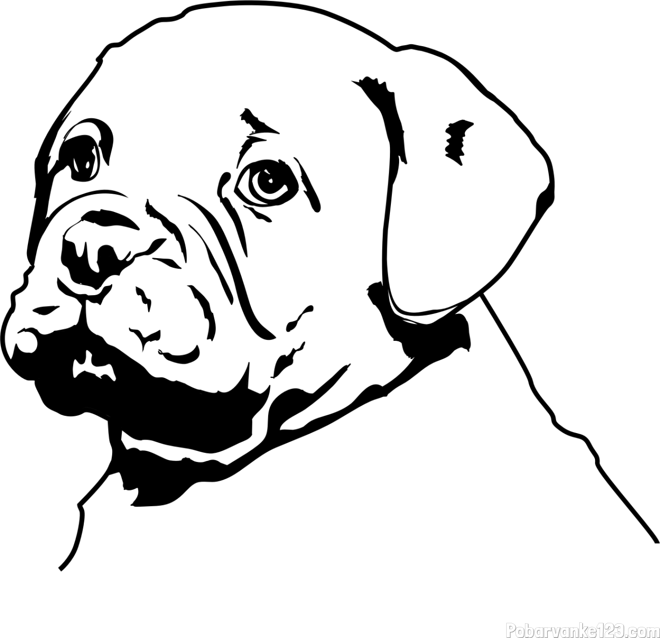 Pobarvanka prikupnega bulldog mladička