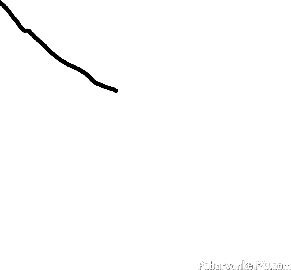 ČAČKA WAU ČRNE ČAČKE