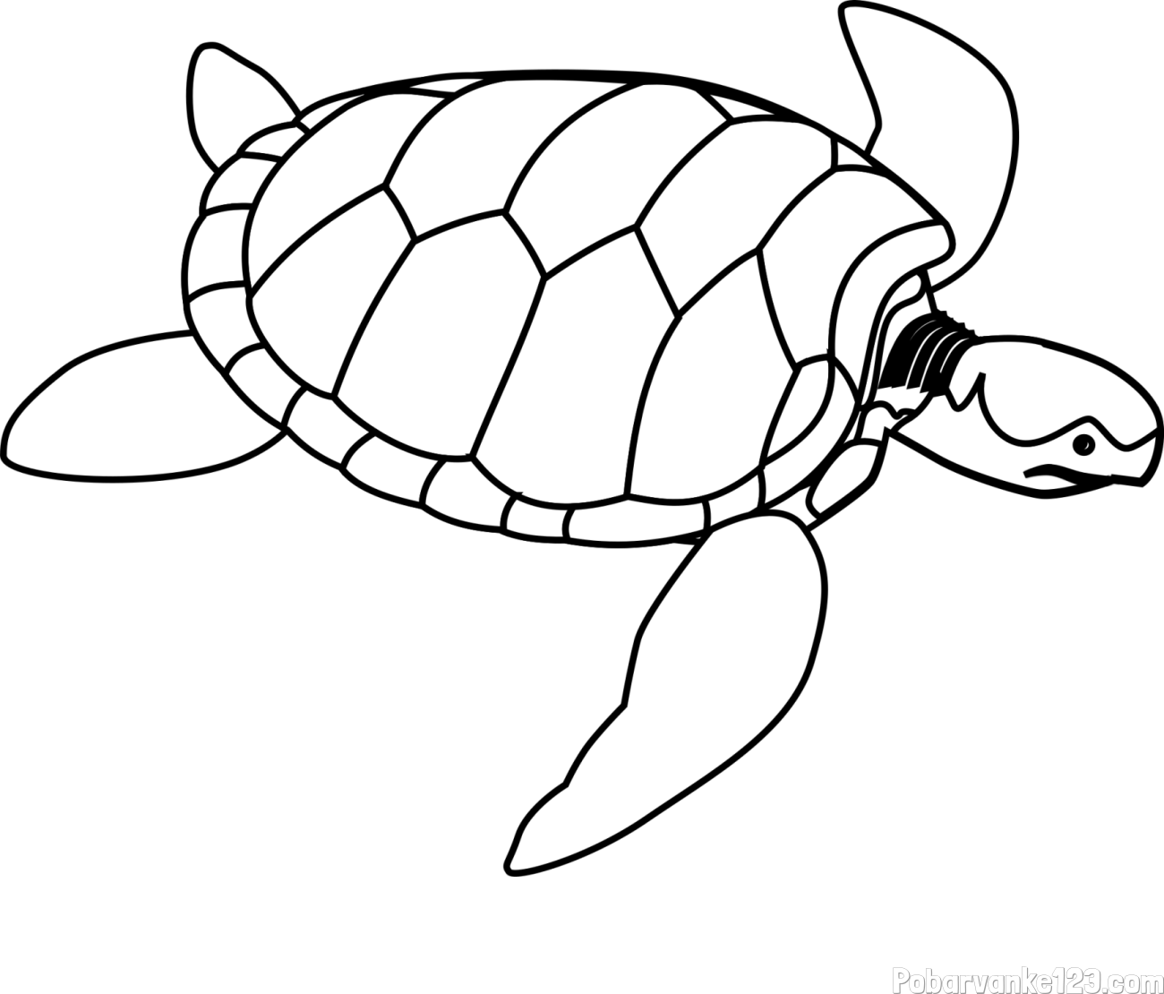 Otroška pobarvanka velike želve