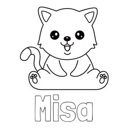 Pobaravanka imena Miša