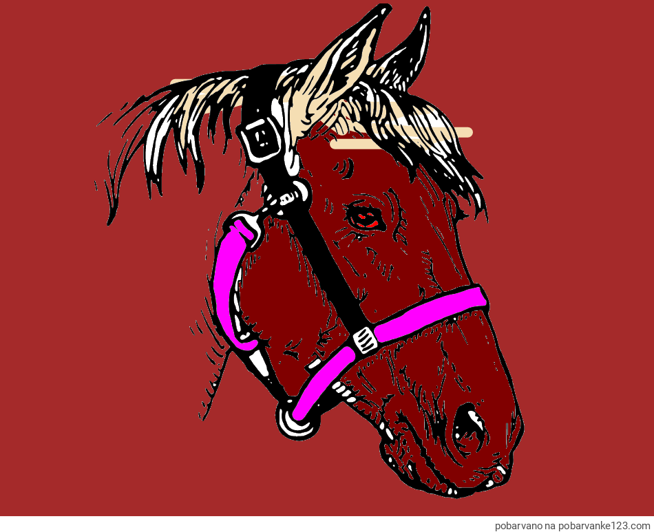 POBARVANA POBARVANKA - Konjska glava