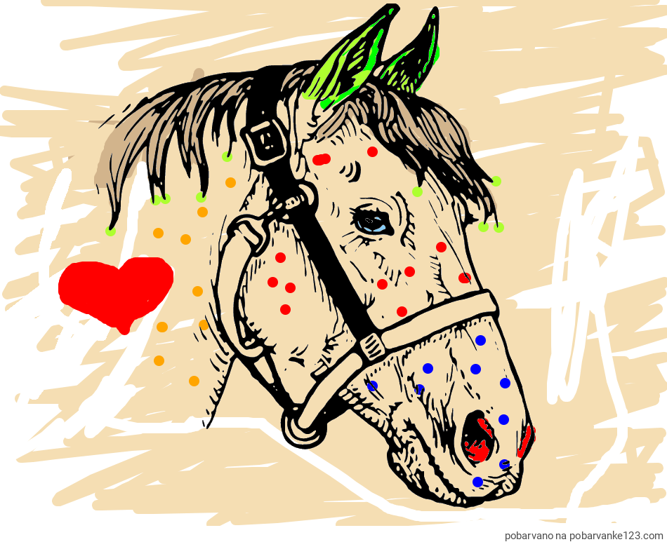 POBARVANA POBARVANKA - Konjska glava