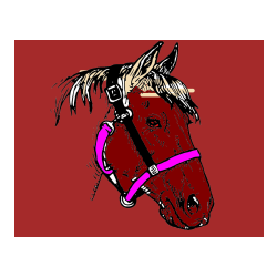 Pobarvana pobarvanka - Konjska glava