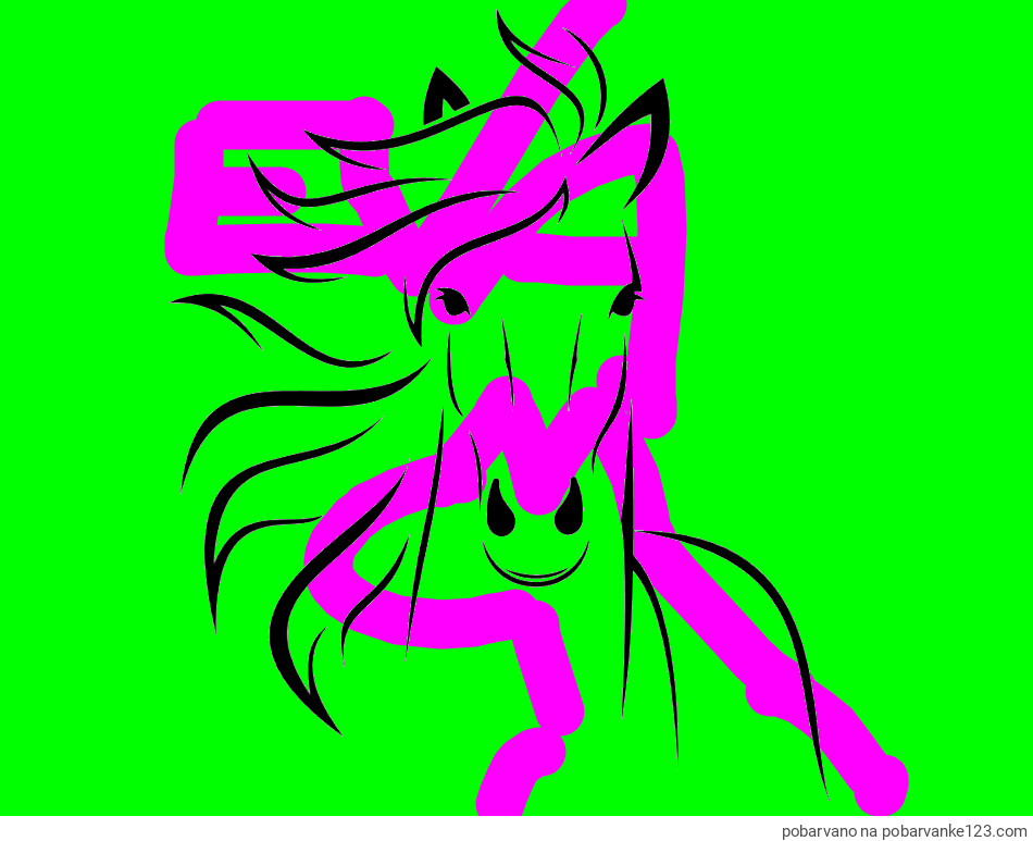 POBARVANA POBARVANKA - Lepa pobarvanka konja