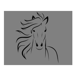 POBARVANA POBARVANKA - Lepa pobarvanka konja