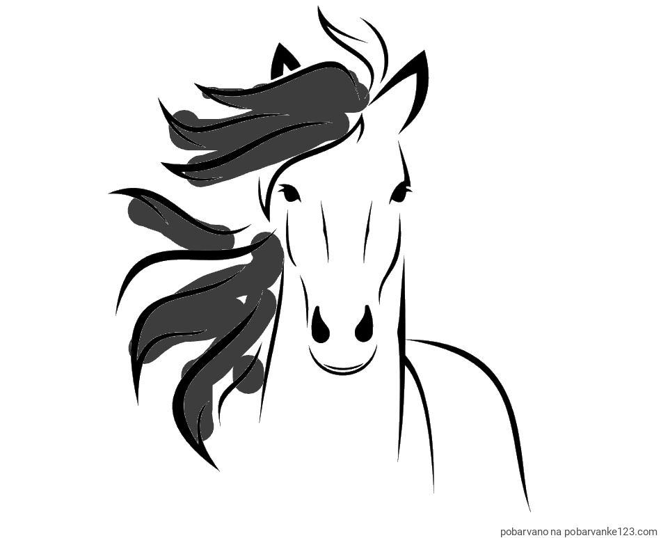 POBARVANA POBARVANKA - Lepa pobarvanka konja