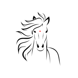 Pobarvana pobarvanka - Lepa pobarvanka konja