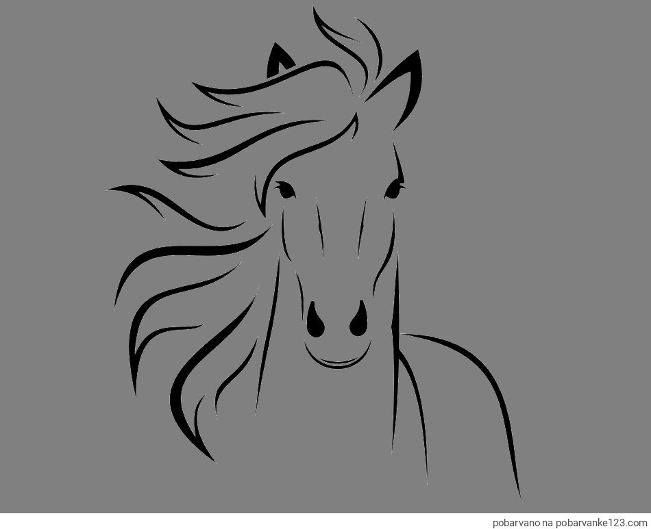 POBARVANA POBARVANKA - Lepa pobarvanka konja