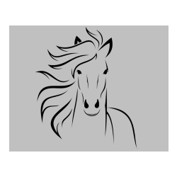 POBARVANA POBARVANKA - Lepa pobarvanka konja