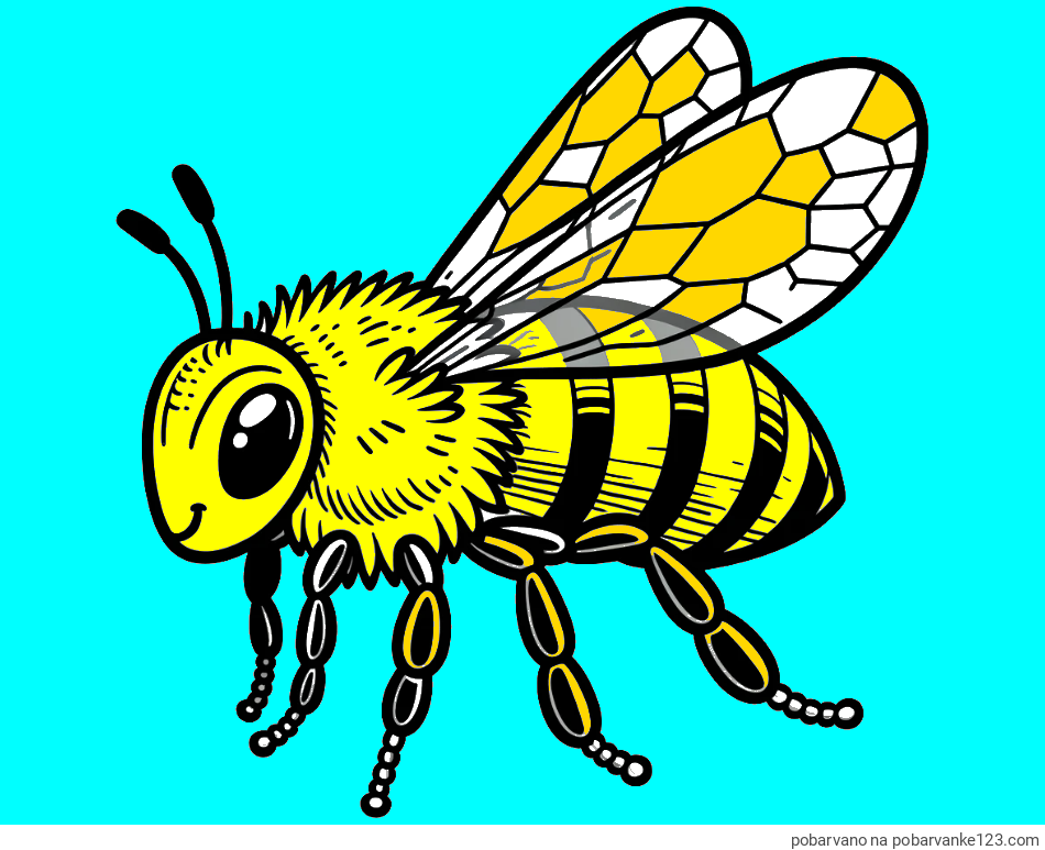 POBARVANA POBARVANKA - Otroška pobarvanka čebele (realistična)