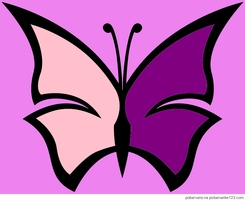 POBARVANA POBARVANKA - Otroška pobarvanka metulja