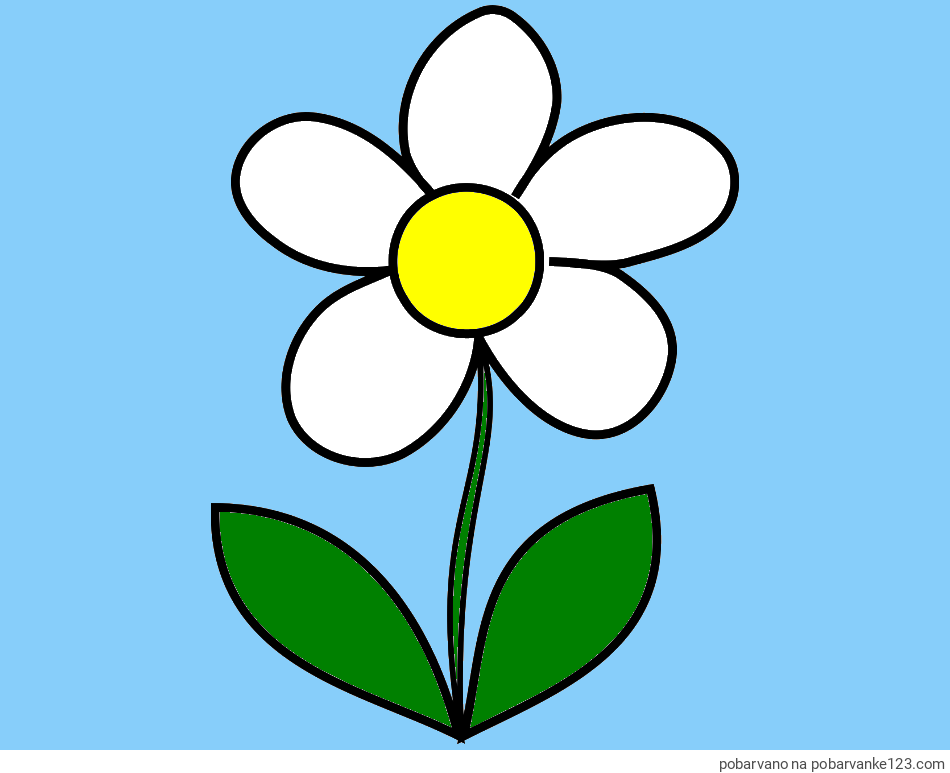 POBARVANA POBARVANKA - Otroška pobarvanka rože