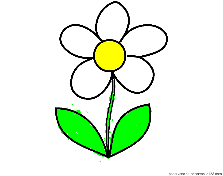 POBARVANA POBARVANKA - Otroška pobarvanka rože