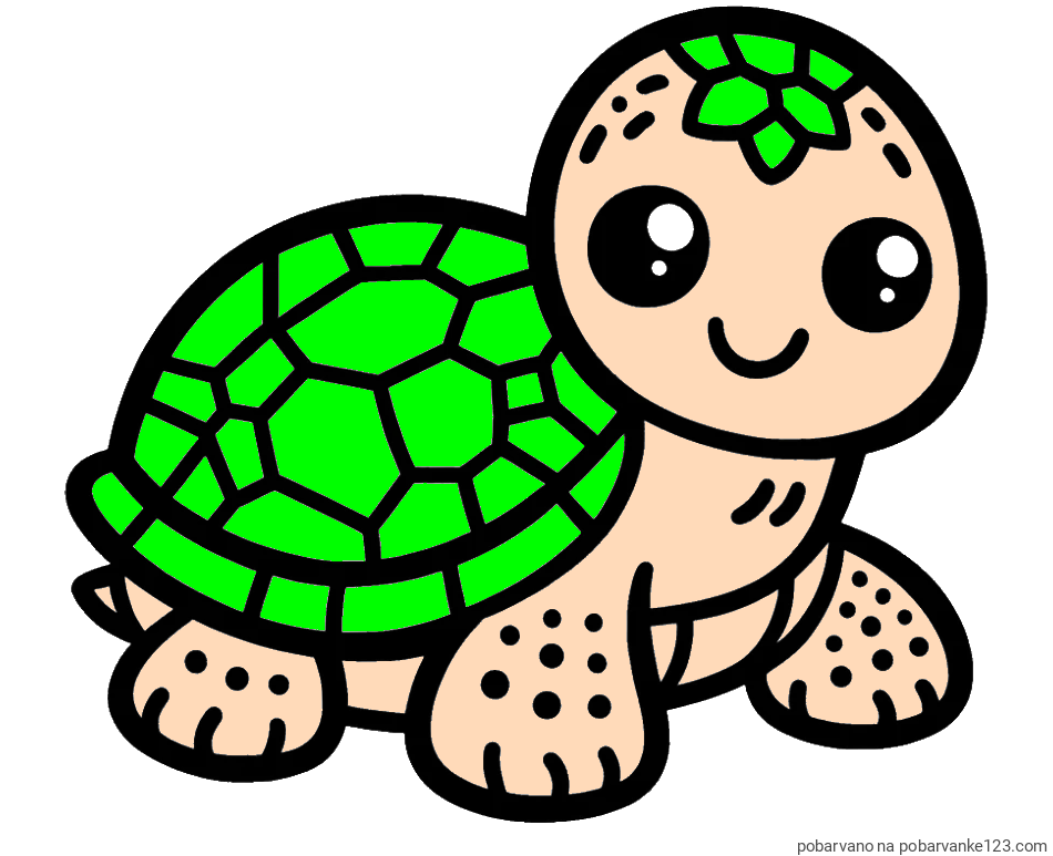 POBARVANA POBARVANKA - Otroška pobarvanka želve