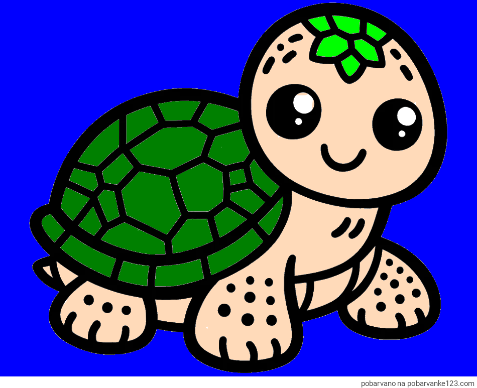 POBARVANA POBARVANKA - Otroška pobarvanka želve