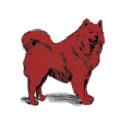 Pobarvana pobarvanka - Pobarvanka čudovitega samojega