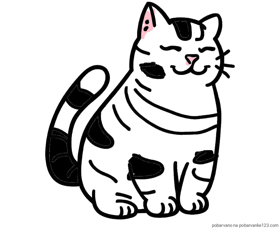 POBARVANA POBARVANKA - Pobarvanka debelušne mačke