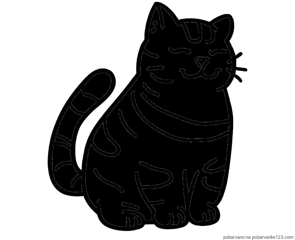 POBARVANA POBARVANKA - Pobarvanka debelušne mačke