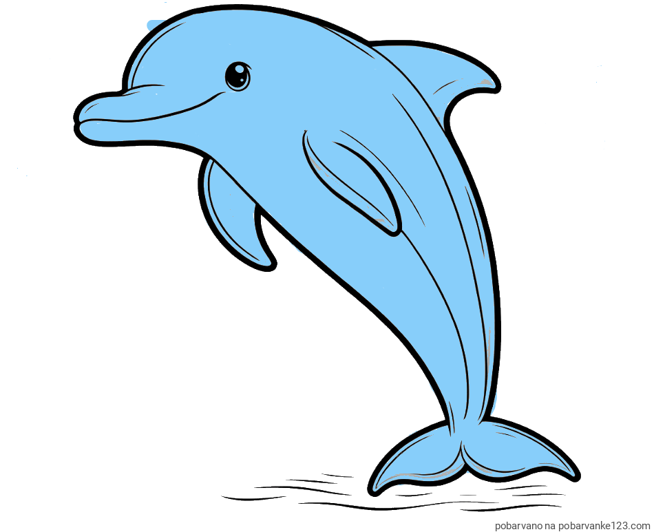 POBARVANA POBARVANKA - Pobarvanka delfina