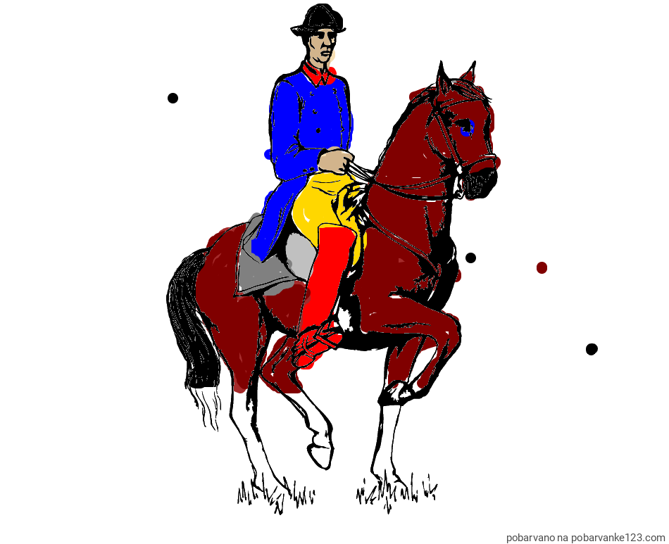 POBARVANA POBARVANKA - Pobarvanka dresure konja