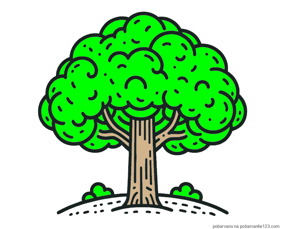 POBARVANA POBARVANKA - Pobarvanka drevesa