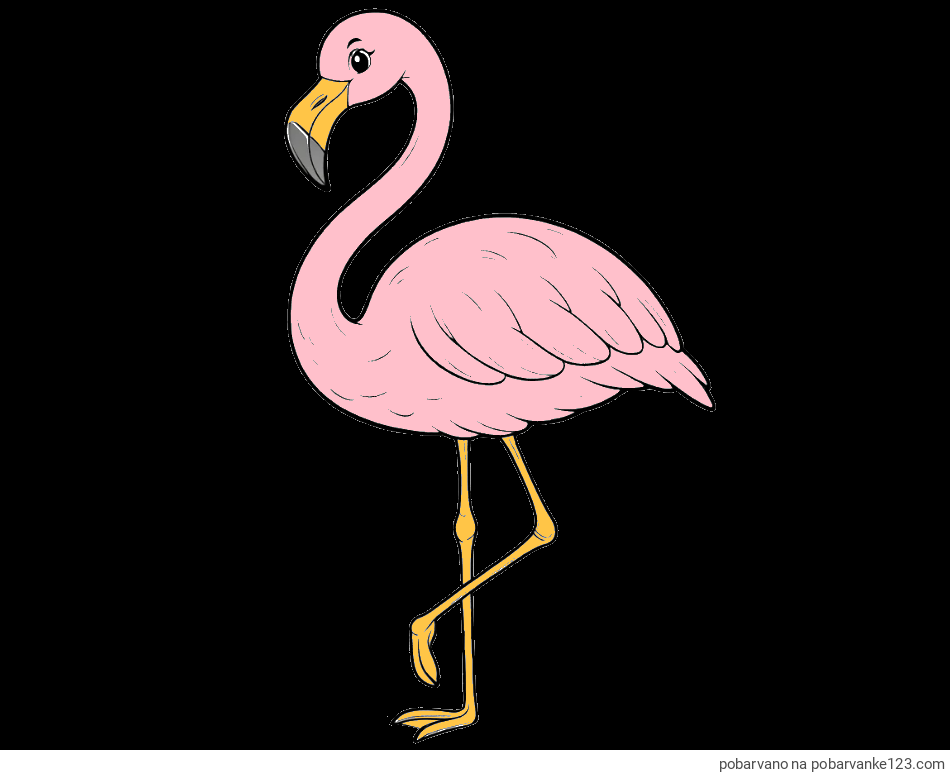 POBARVANA POBARVANKA - Pobarvanka flaminga