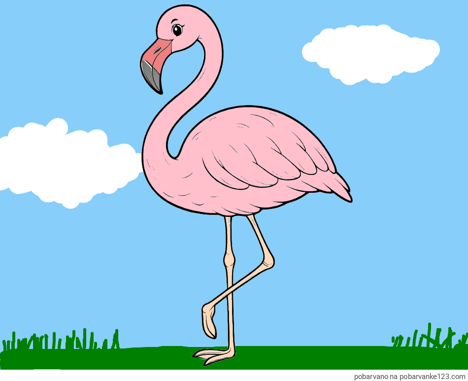 POBARVANA POBARVANKA - Pobarvanka flaminga