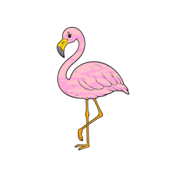 Pobarvana pobarvanka - Pobarvanka flaminga