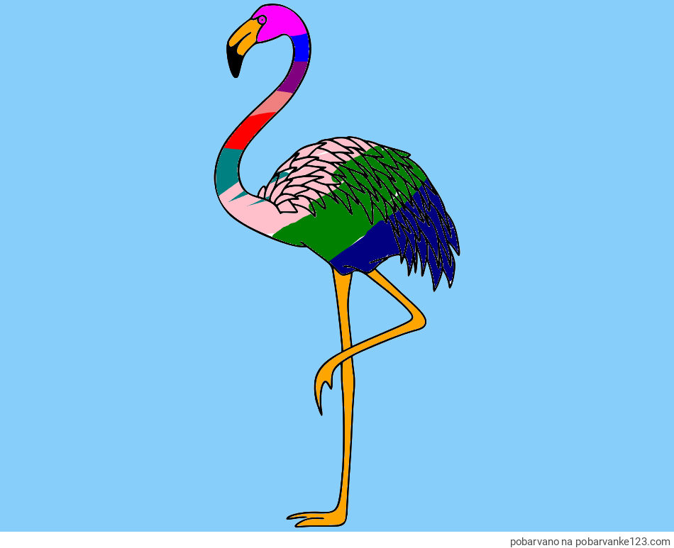 POBARVANA POBARVANKA - Pobarvanka flaminga, ki stoji na eni nogi