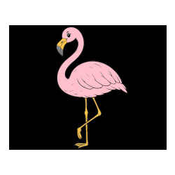 POBARVANA POBARVANKA - Pobarvanka flaminga