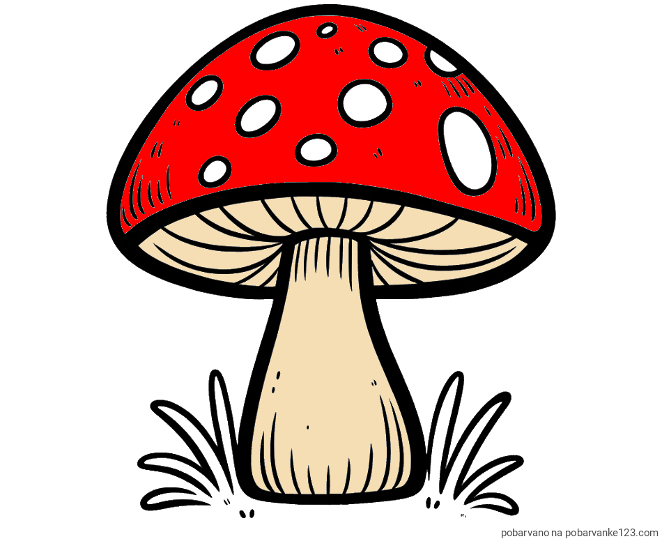 POBARVANA POBARVANKA - Pobarvanka gobe