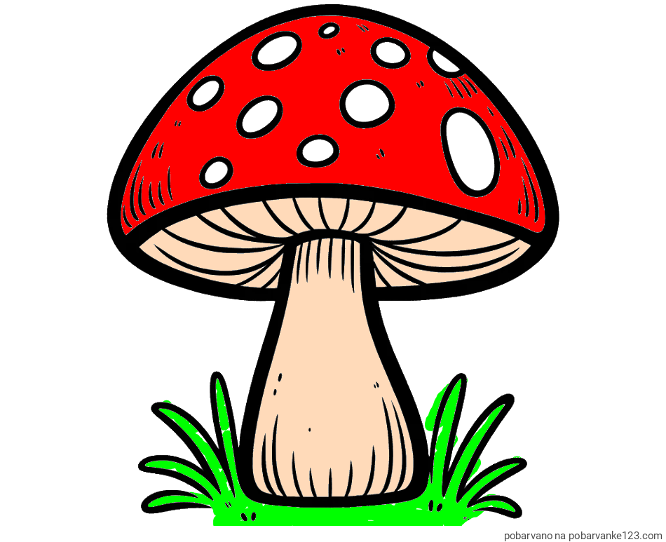 POBARVANA POBARVANKA - Pobarvanka gobe